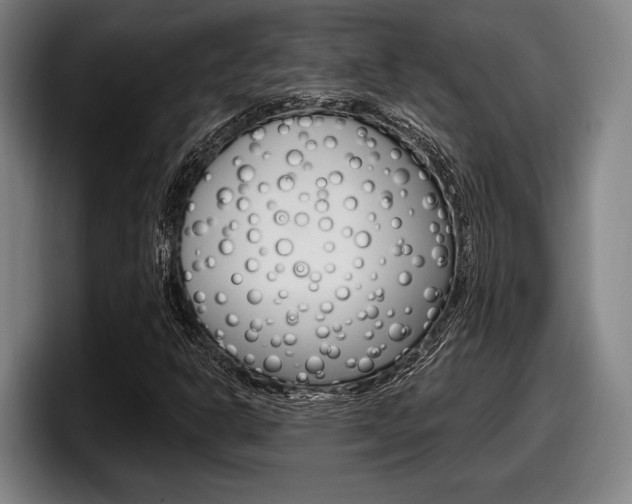 X0000098151302200804171148