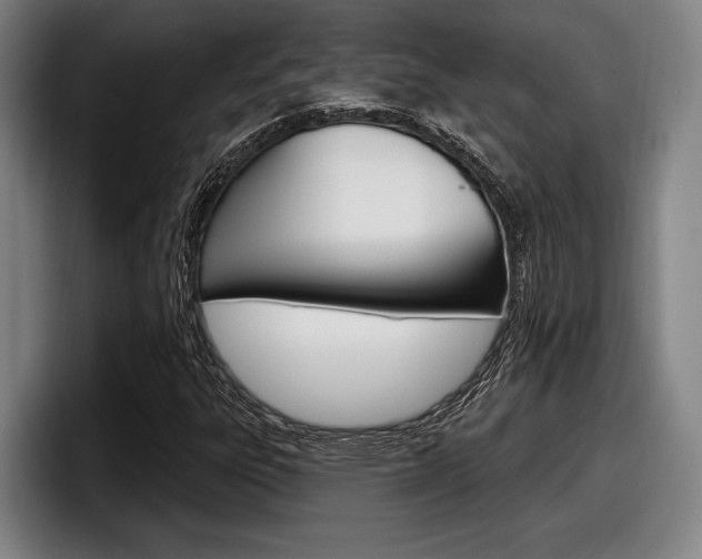 X0000098151303200804171148