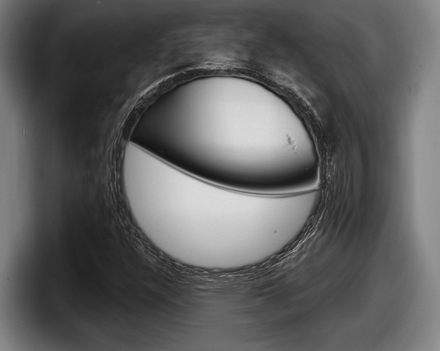 X0000098151304200804171148