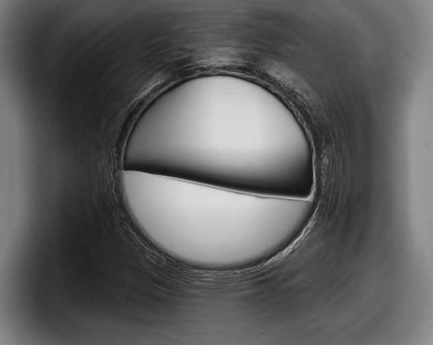 X0000098151305200804171148