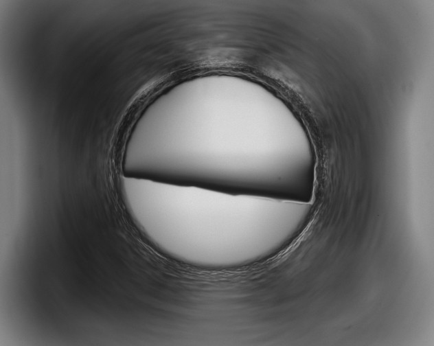 X0000098151306200804171148