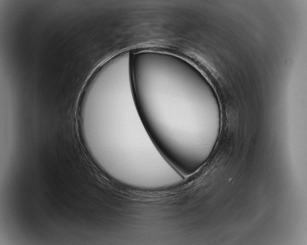 X0000098151308200804171148