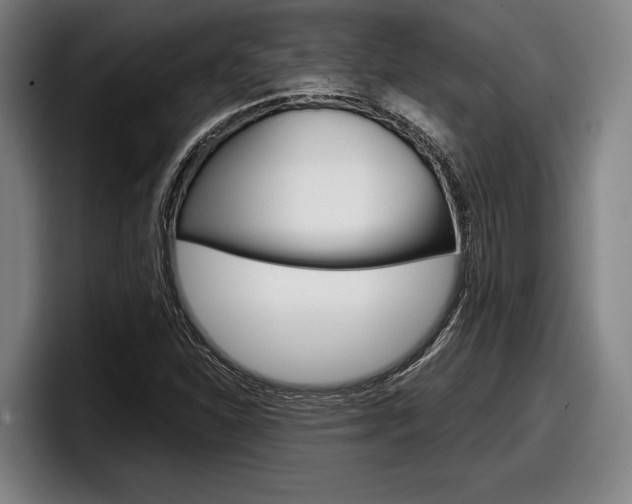 X0000098151310200804171148
