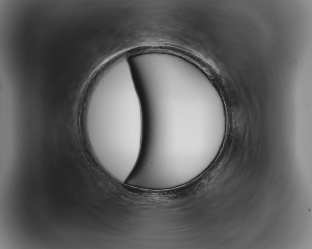 X0000098151311200804171148