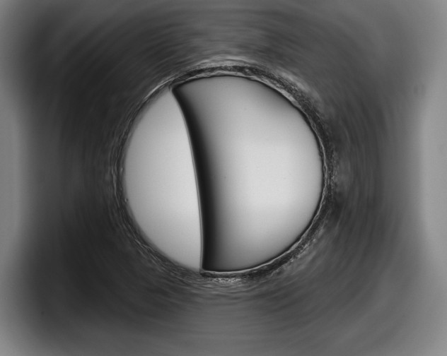 X0000098151313200804171148