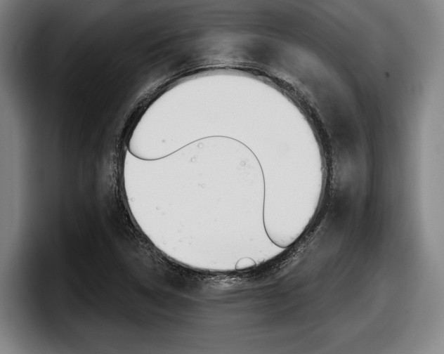 X0000098151314200804171148