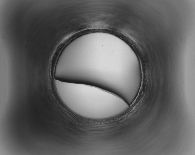 X0000098151315200804171148