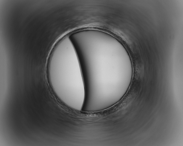 X0000098151316200804171148