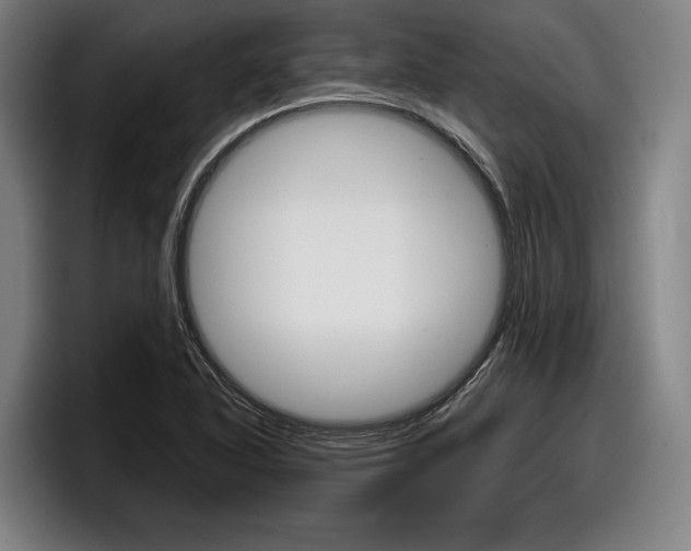 X0000098151318200804171148
