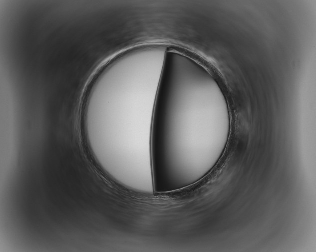 X0000098151319200804171148