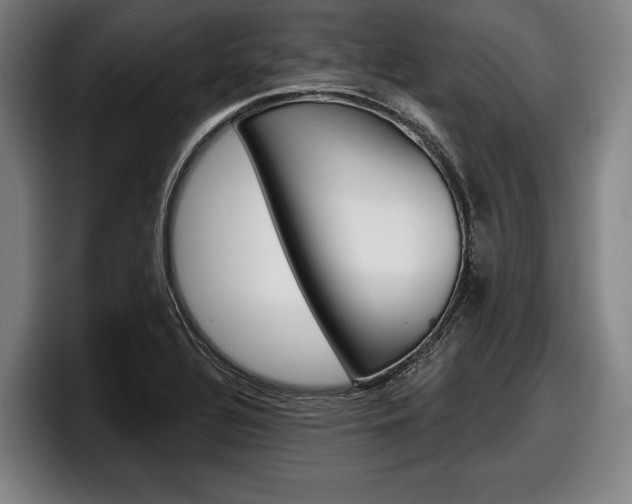 X0000098151320200804171148