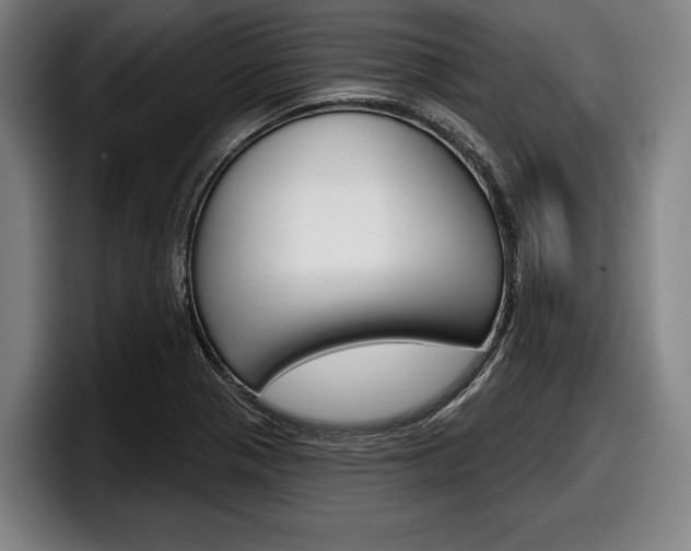 X0000098151321200804171148