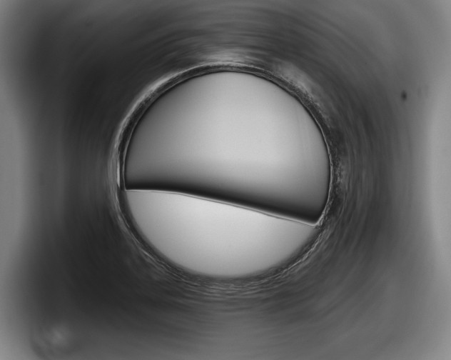 X0000098151323200804171148