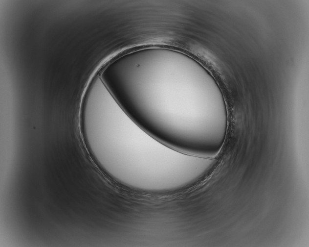 X0000098151324200804171148