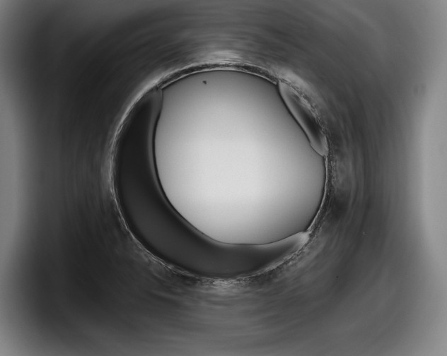 X0000098151326200804171148