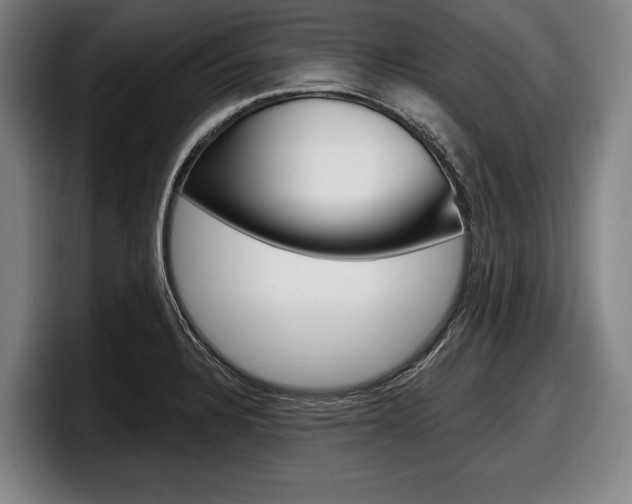 X0000098151328200804171148