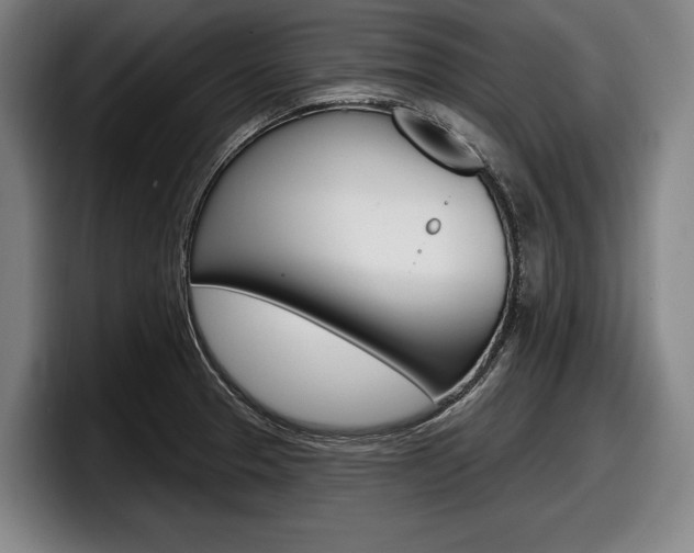 X0000098151329200804171148