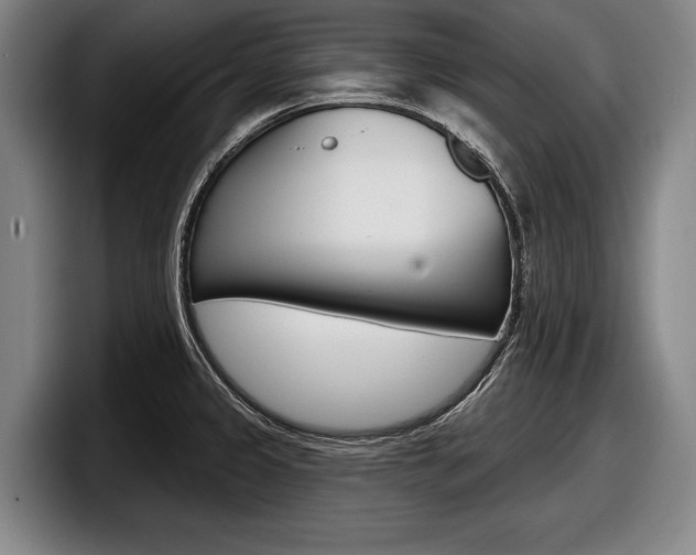X0000098151333200804171149
