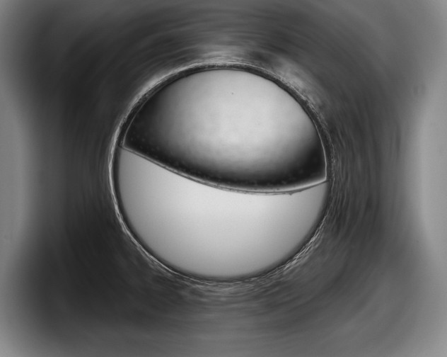 X0000098151334200804171149