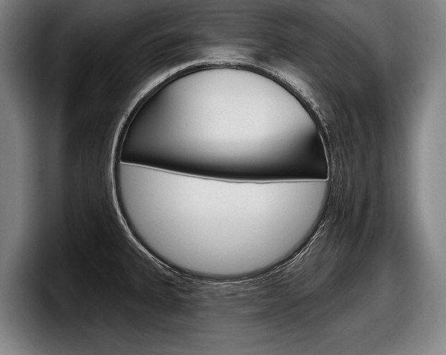 X0000098151335200804171149
