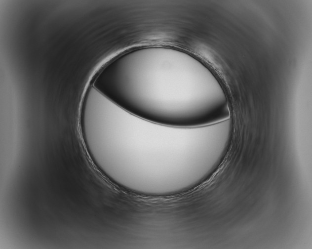 X0000098151336200804171149
