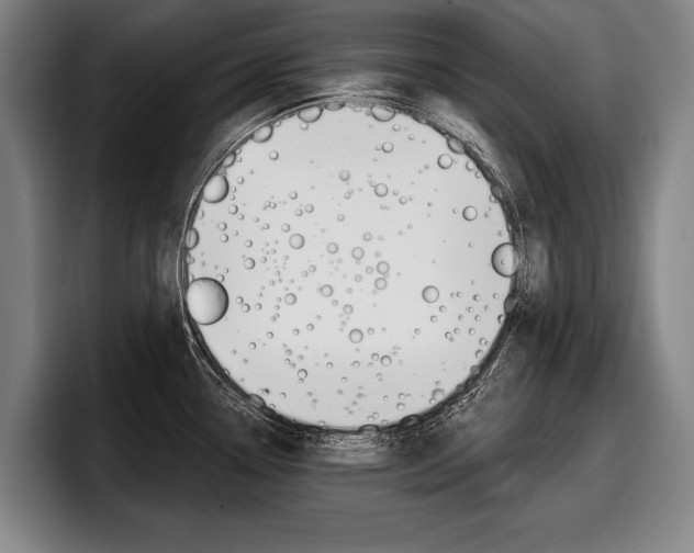 X0000098151338200804171149