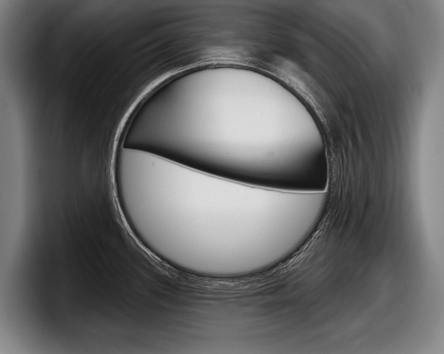 X0000098151339200804171149
