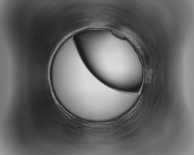 X0000098151342200804171149
