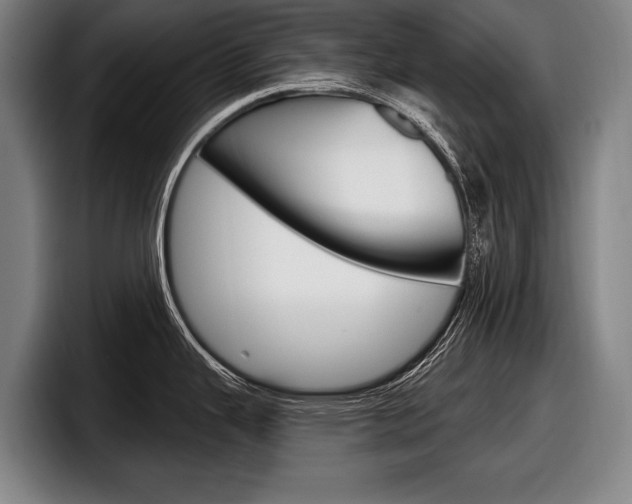 X0000098151343200804171149