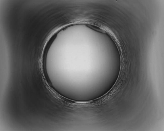 X0000098151344200804171149