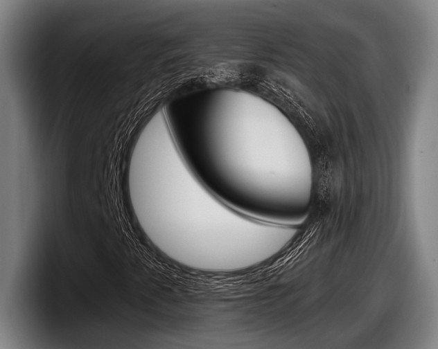 X0000098151345200804171148