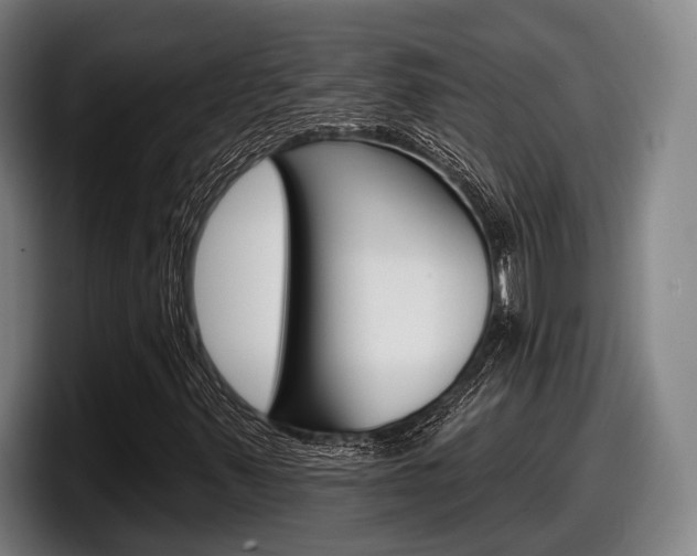 X0000098151347200804171148