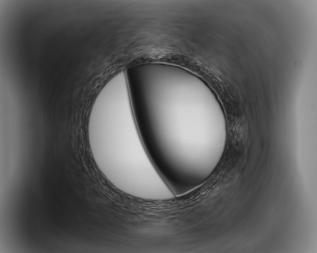 X0000098151349200804171148