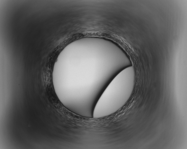 X0000098151350200804171148