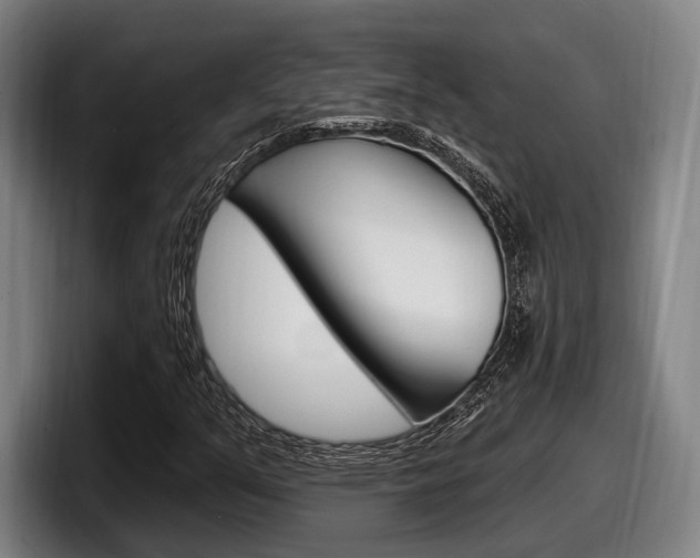 X0000098151351200804171148