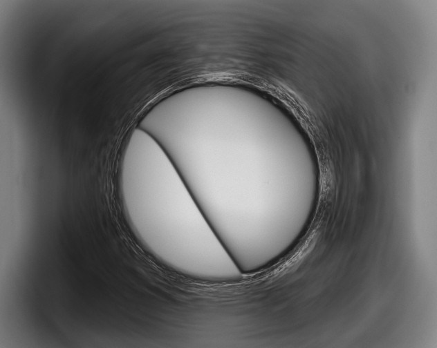 X0000098151353200804171148