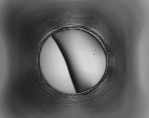 X0000098151355200804171148