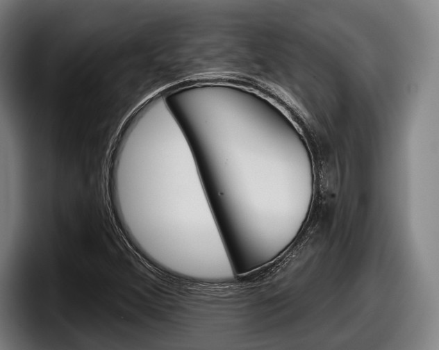 X0000098151356200804171148