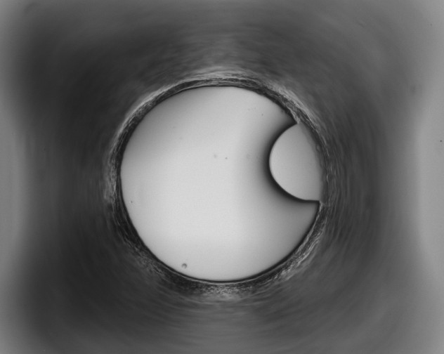 X0000098151358200804171148