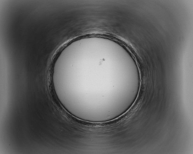 X0000098151359200804171148