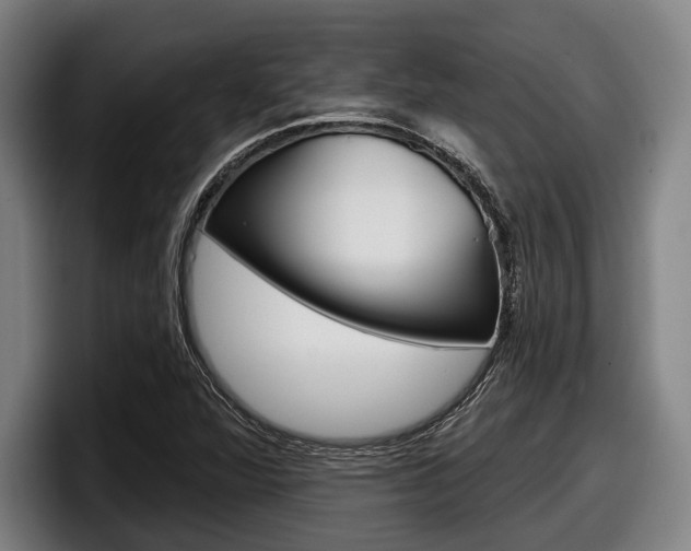 X0000098151360200804171148
