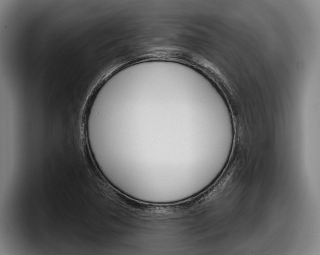 X0000098151362200804171148