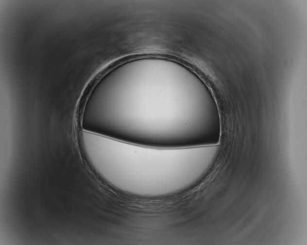 X0000098151364200804171148