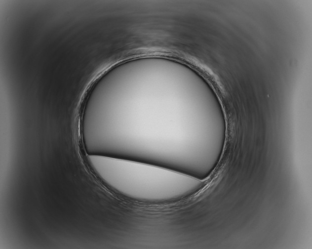 X0000098151365200804171148