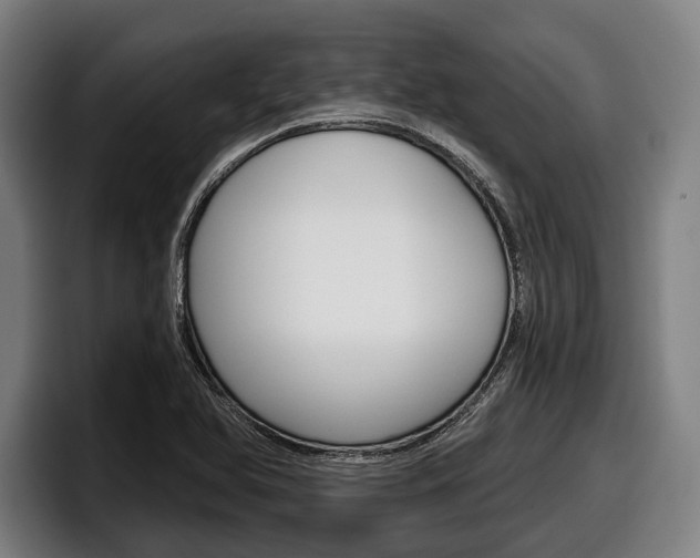 X0000098151366200804171148