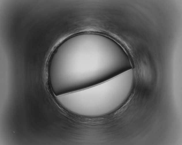X0000098151367200804171148
