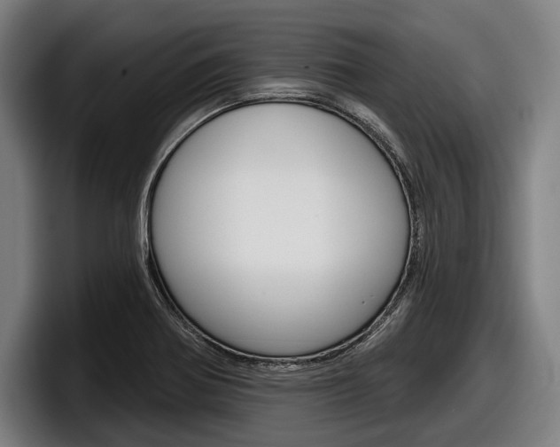 X0000098151370200804171148