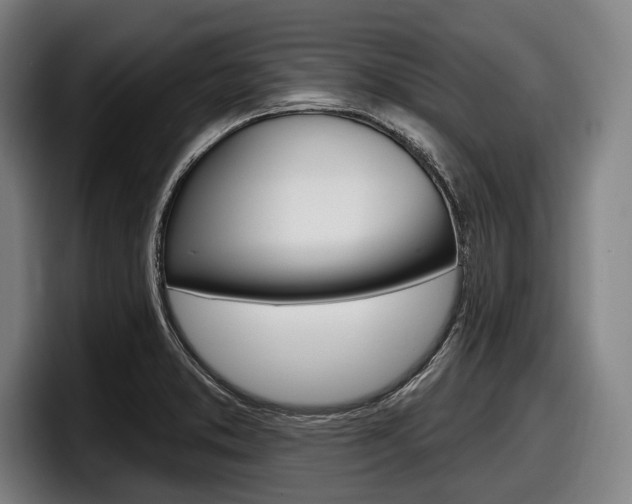 X0000098151373200804171148