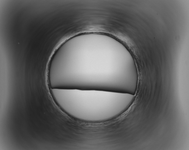 X0000098151374200804171148