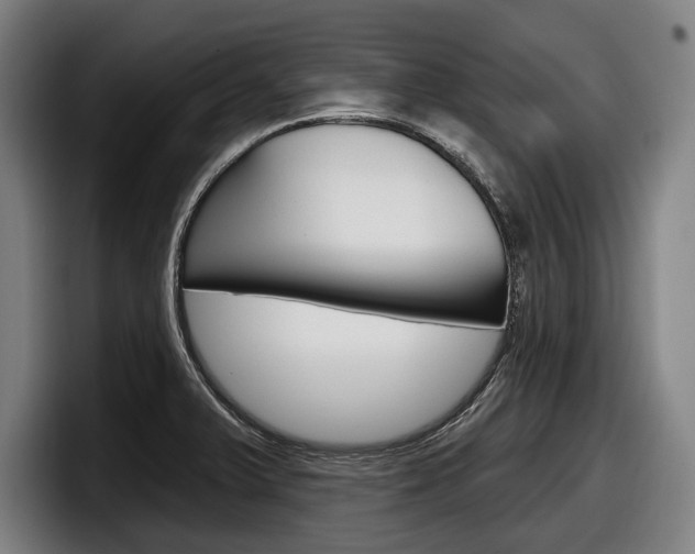X0000098151375200804171148